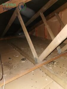 הדברה מפני חרקים ומזיקים לגג רעפים של בית פרטי בראשון לציון בשכונת שיכון המזרח