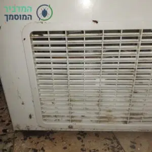 טיפול בג'ל לג'וק גרמני כולל ריסוס לשאר המזיקים בבית פרטי בדימונה