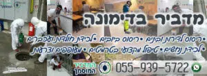 מדביר בדימונה פנוי לכל ריסוס והדברה במחירים הכי זולים בעיר