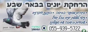 הרחקת יונים לצמיתות בבאר שבע כולל דירות בתים בניינים ועסקים - עבודה מקצועית גם בגובה - הצלחה 100%