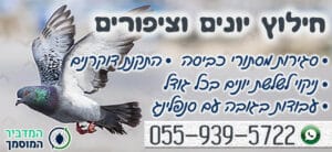 חילוץ יונים וציפורים מכל הסוגים - עבודה מקצועית 24 שעות