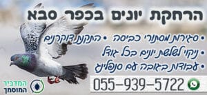 הרחקת יונים בכפר סבא - כל השיטות במקום אחד - מחירים נמוכים עבודה מקצועית עם אחריות מלאה! הרחקת יונים בכפר סבא - כל השיטות במקום אחד - מחירים נמוכים עבודה מקצועית עם אחריות מלאה!