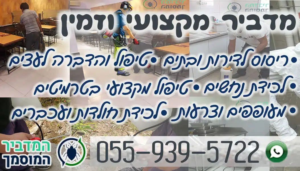 פינוי וניקוי דירות מוזנחות