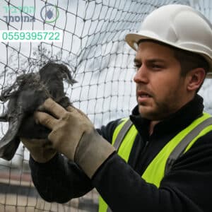 חילוץ יונה תקועה ברשת שירות מקצועי ומהיר במחיר נמוך