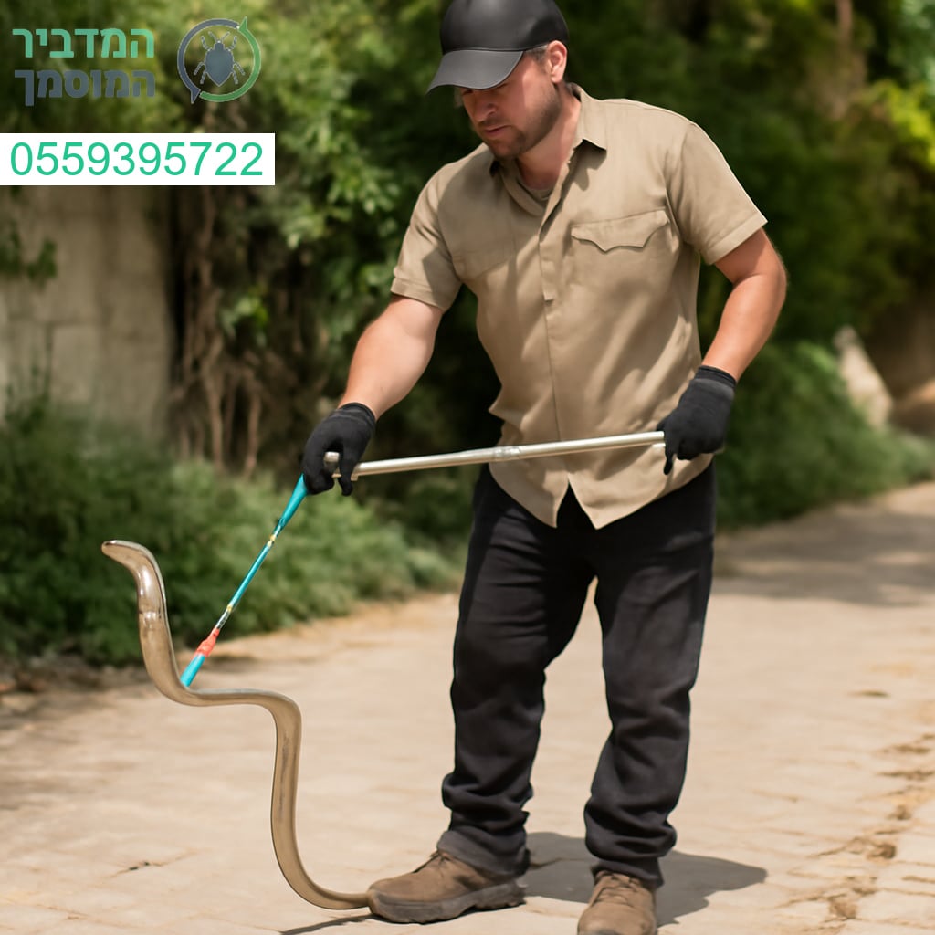 לוכד נחשים מקצועי בפעולה בנתניה – שירות מהיר, בטוח ומוסמך 24/7 להצלת חיים ולמניעת סכנה.
📞 055-939-5722