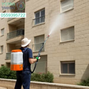 ריסוס מקצועי לבניין מגורים באשקלון לשמירה על סביבה נקייה ובטוחה