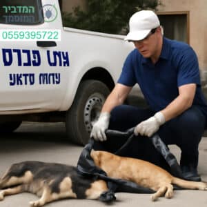 פינוי מקצועי ויסודי של פגרים מקריית מלאכי על ידי צוות מיומן ושירות מהיר