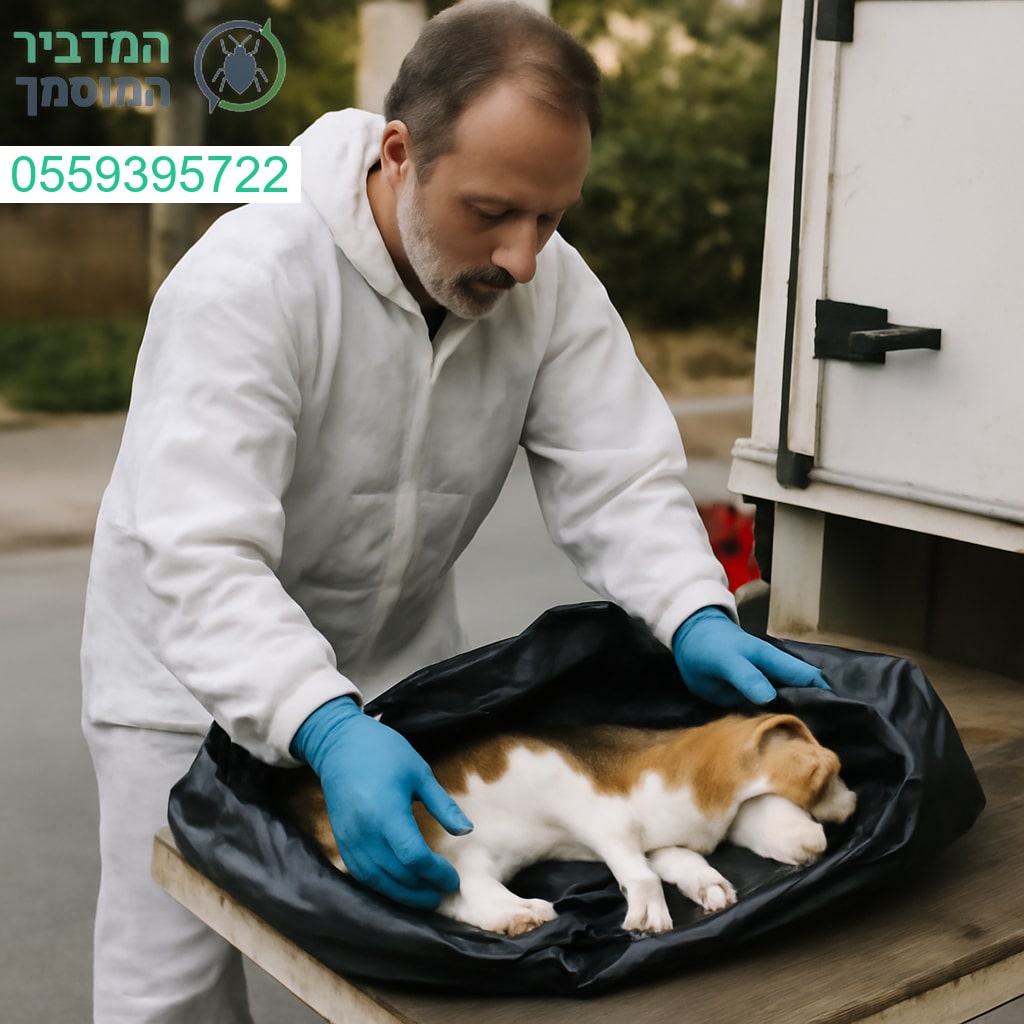 שירות מהיר מקצועי ודיסקרטי לפינוי פגרים באשדוד עם הקפדה על תנאי תברואה מחמירים