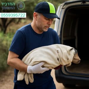 פינוי פגרי בעלי חיים בכפר יונה במהירות אחריות ורגישות גבוהה