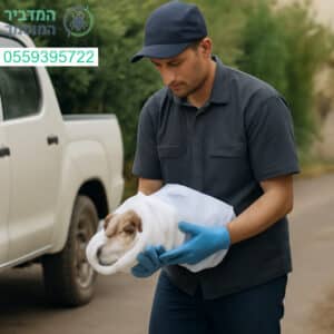 פינוי פגר במהירות ובמקצועיות בכל רחבי גן יבנה עם צוות מומחה וציוד ייעודי