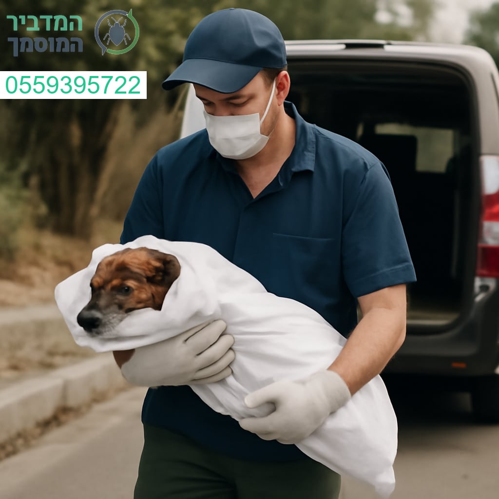 פינוי פגרים מקצועי ואחראי בשוהם עם דגש על בטיחות וסביבה נקייה