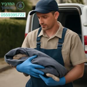 פינוי פגרים מקצועי ואחראי בנס ציונה עם דגש על ניקיון מהירות ובטיחות