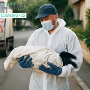פינוי פגרים מקצועי בקריית מוצקין על ידי צוות מיומן בזמינות מלאה ובאחריות מלאה לסביבה נקייה ובטוחה