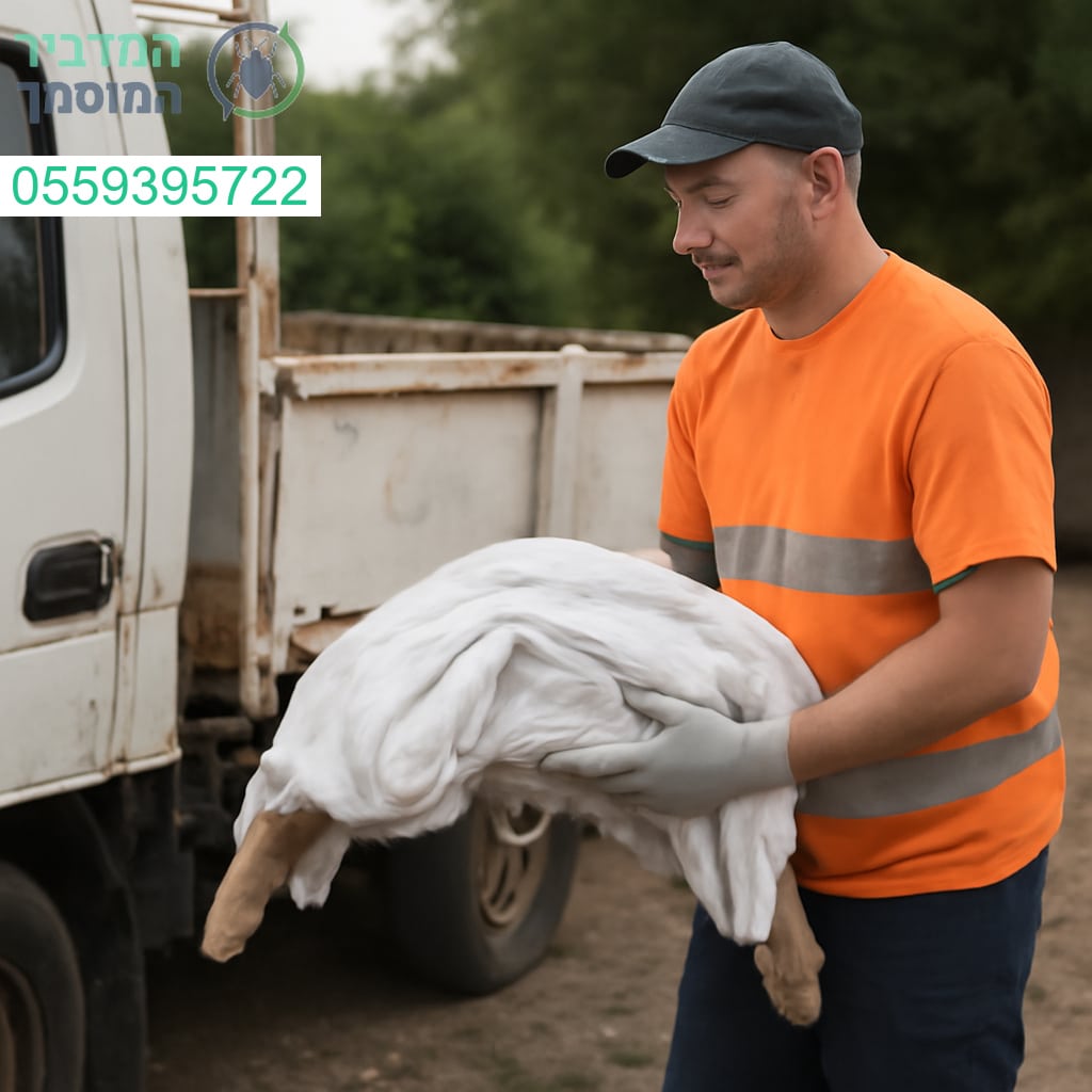 פינוי פגרים מקצועי באשקלון במהירות ובאחריות על פי התקנים המחמירים
