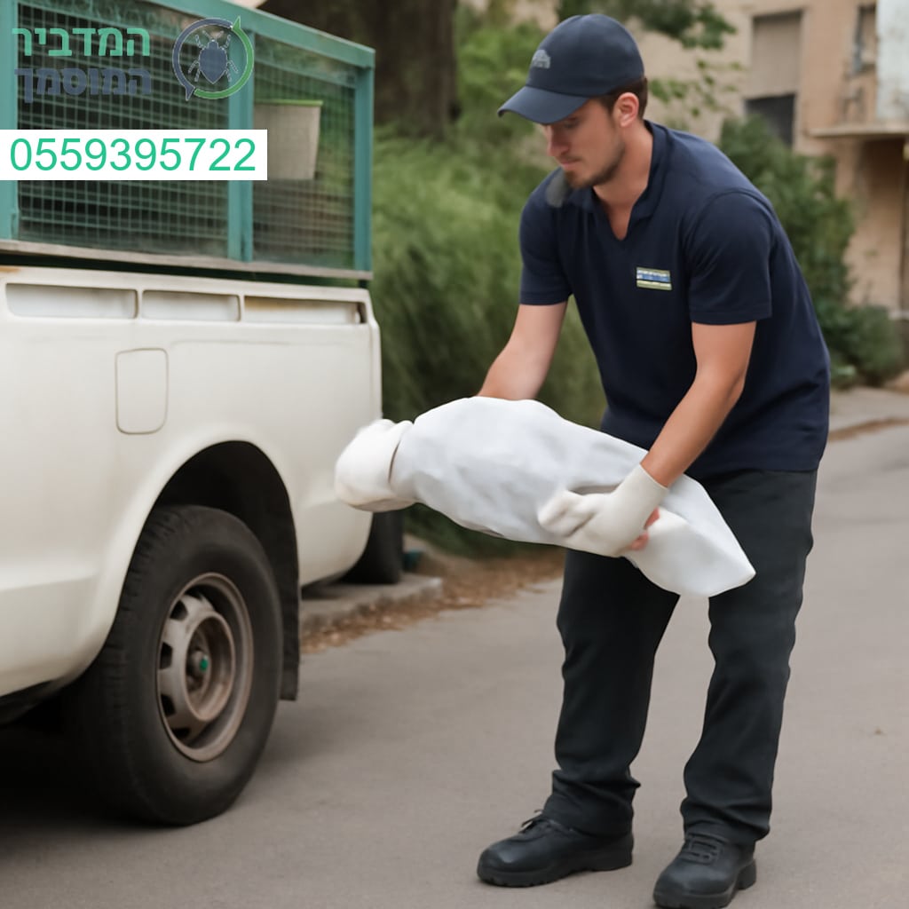 שירות מקצועי לפינוי פגרים ברמת גן בזמינות מלאה ובסטנדרטים הגבוהים ביותר