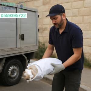 פינוי פגרים בבית שמש במהירות מקצועיות ואמינות לכל מקרה ולכל גודל בעלי חיים