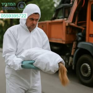שירות מקצועי לפינוי פגרים בגדרה במהירות וביעילות