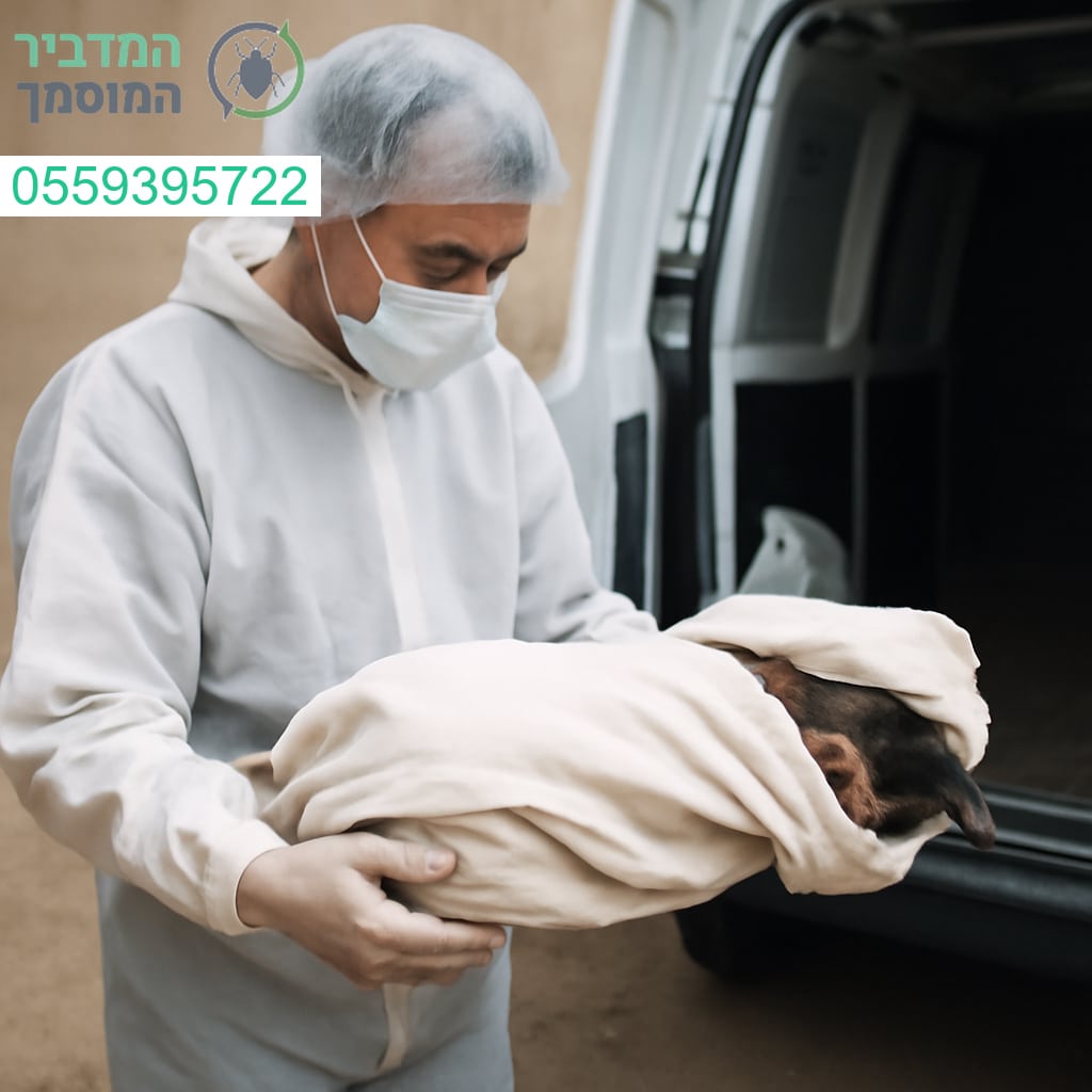 פינוי פגרים מקצועי בבאר יעקב בזמינות מיידית ודיסקרטיות מלאה