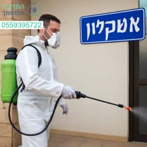הדברה מקצועית באשקלון עם ציוד מתקדם ושירות ללא פשרות
