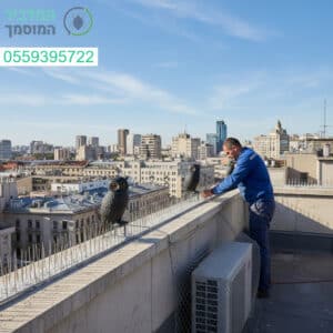 הרחקת יונים מקצועית עם פתרונות מתקדמים להתמודדות יעילה ובטוחה בגובה