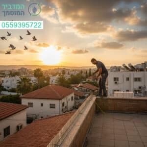 הרחקת יונים מקצועית בנס ציונה עם פתרונות יעילים ואסתטיים לשמירה על הבניין וניקיון המרפסת