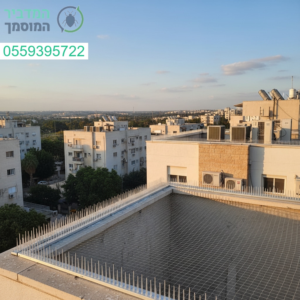 הרחקת יונים מקצועית ביהוד עם פתרון יעיל ואסתטי להגנה מושלמת על הגג