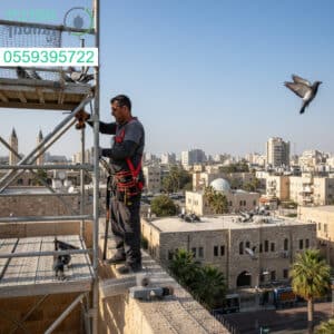 הרחקת יונים מקצועית ברמלה עם ציוד מתקדם ובטיחות מלאה לפתרון יעיל וקבוע