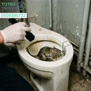 פתרונות הדברה מקצועיים ויעילים להחזרת השקט והניקיון לביתכם