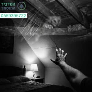 כשגירוד בתקרה הופך לסיוט שאי אפשר להתעלם ממנו