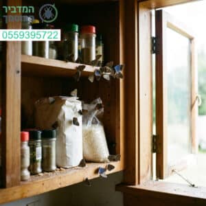 מפגש קסום בין היומיום לטבע דרך פרפרים עדינים המעטרים את מדפי המטבח