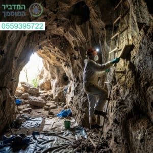 ניקיון ושיקום ברמה הגבוהה ביותר בניקוי יריקות עטלפים מקירות המערה בסטנדרט מקצועי ללא פשרות