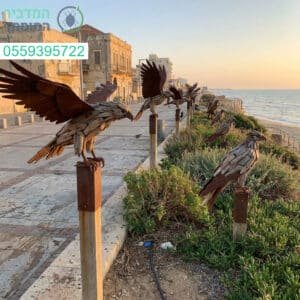 פתרון אסתטי ויעיל להרחקת יונים בחדרה לשמירה על איכות וניקיון הסביבה