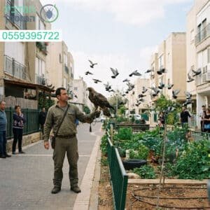 פתרונות מקצועיים ומתקדמים להרחקת יונים לשמירה על ניקיון ואיכות החיים בשדרות