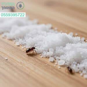 פתרונות מקצועיים ויעילים לחיסול נדמלים והחזרת השלווה לביתכם