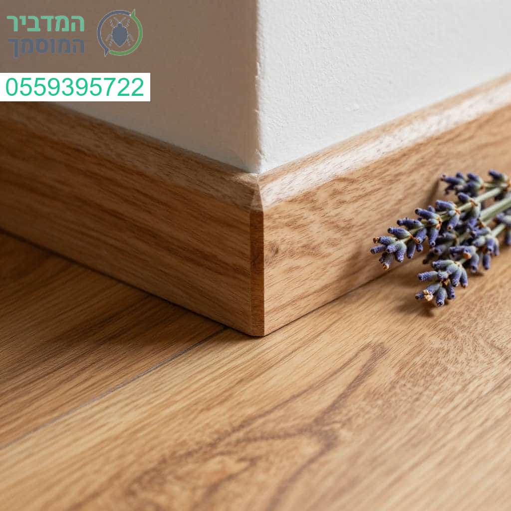 הפתרון המושלם לבית נקי ומאובטח מפני כל סוג של מזיקים בסטנדרט המקצועי הגבוה ביותר
