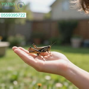 פתרון מקצועי ואיכותי לשמירה על גינה נקייה ומוגנת מכל סוגי המזיקים