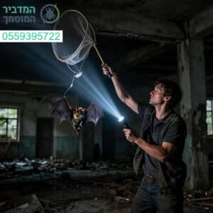 לכידת עטלפים מקצועית, בטוחה ויעילה לכל סוגי המבנים
