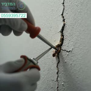 איטום סדקים וחריצים למניעה מוחלטה של כניסת מזיקים והבטחת הגנה מקצועית לביתכם